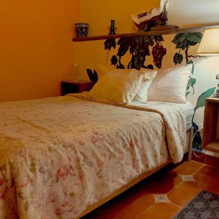 Bed and Breakfast Pozzito Boutique à San Miguel de Allende Extérieur photo
