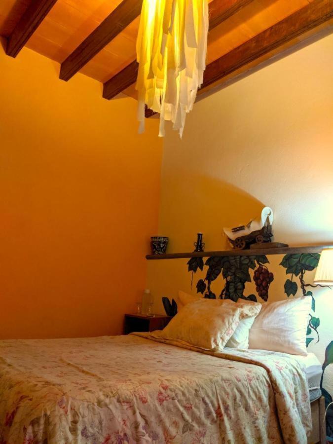Bed and Breakfast Pozzito Boutique à San Miguel de Allende Extérieur photo