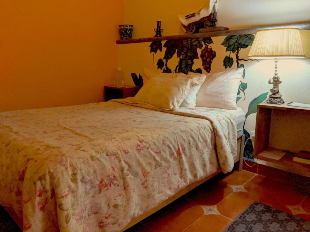 Bed and Breakfast Pozzito Boutique à San Miguel de Allende Extérieur photo