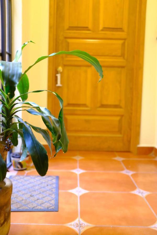 Bed and Breakfast Pozzito Boutique à San Miguel de Allende Extérieur photo